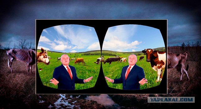На подмосковной ферме тестируют очки виртуальной реальности для коров
