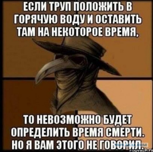 Бредзона 26.12.2019