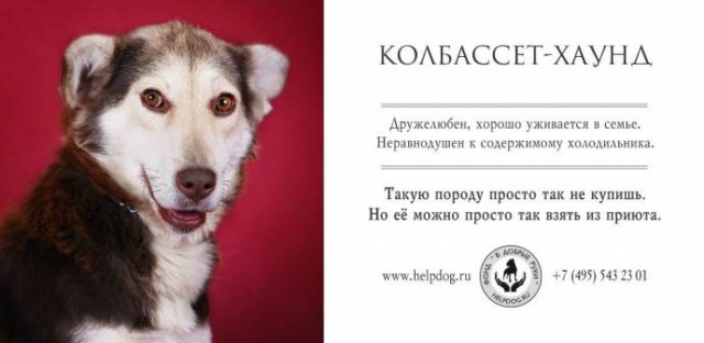 Социалка для приюта