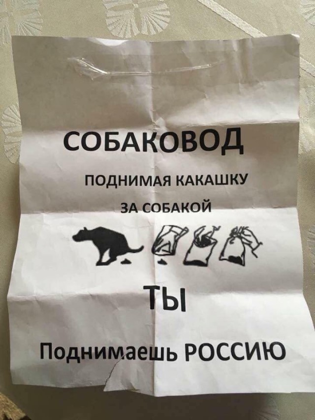 Кучка картинок №14