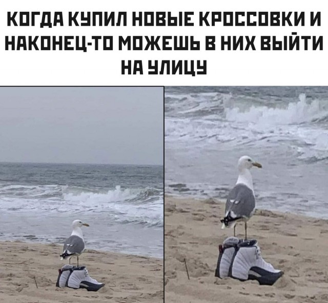 Немного картинок для настроения 113