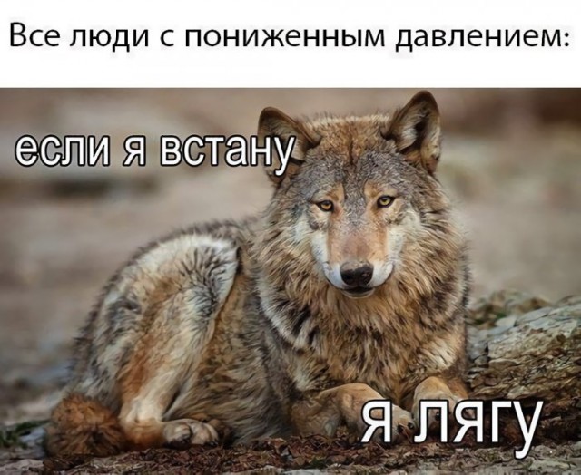 Немного картинок для настроения 07.08.20