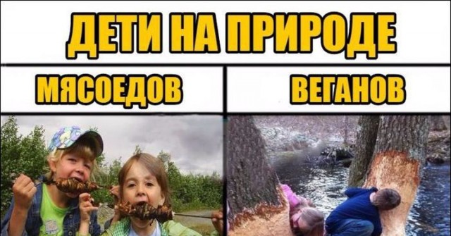 Появился как-то в нашей небольшой компании веган...