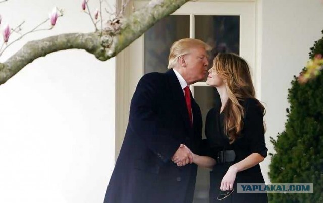 Знакомтесь. Хоуп Хикс. Она заразила Трампа коронавирусом.