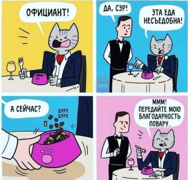 Бредзона 08.12.2020