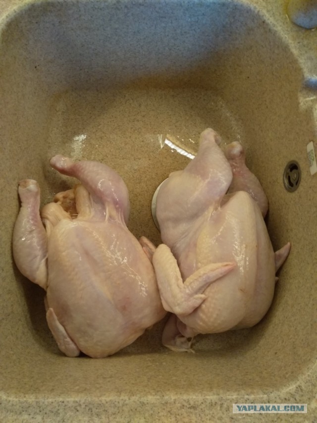 Нищебродам на заметку. Рваные курицы
