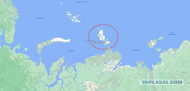 Цыгане объяснили свое исчезновение из Москвы