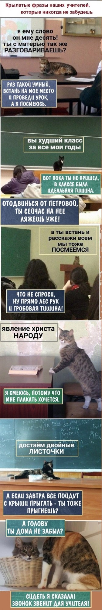 Картинки с надписями и всякие жизненные фразы