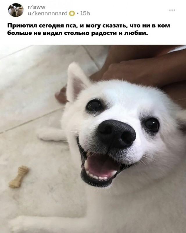 Весёлый полтишок 26.04