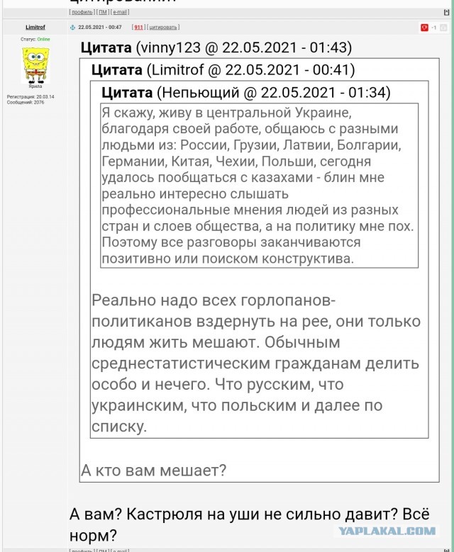 Мнение жительницы Харькова о шествии в честь Дня вышиванки.