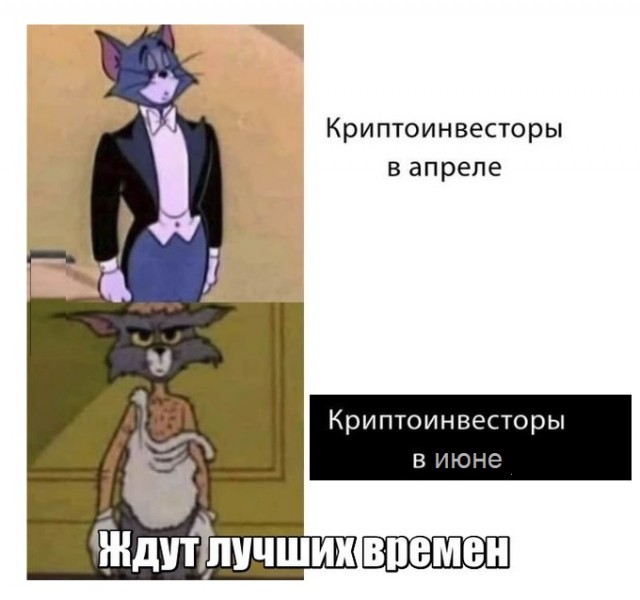 Картинки с надписями и всякие жизненные фразы 5.06.21