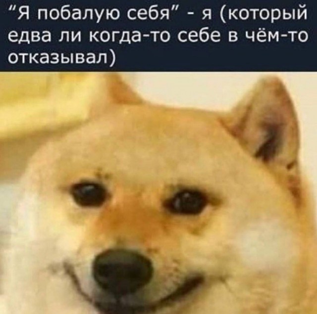 Весёлый полтишок 30.06.2021