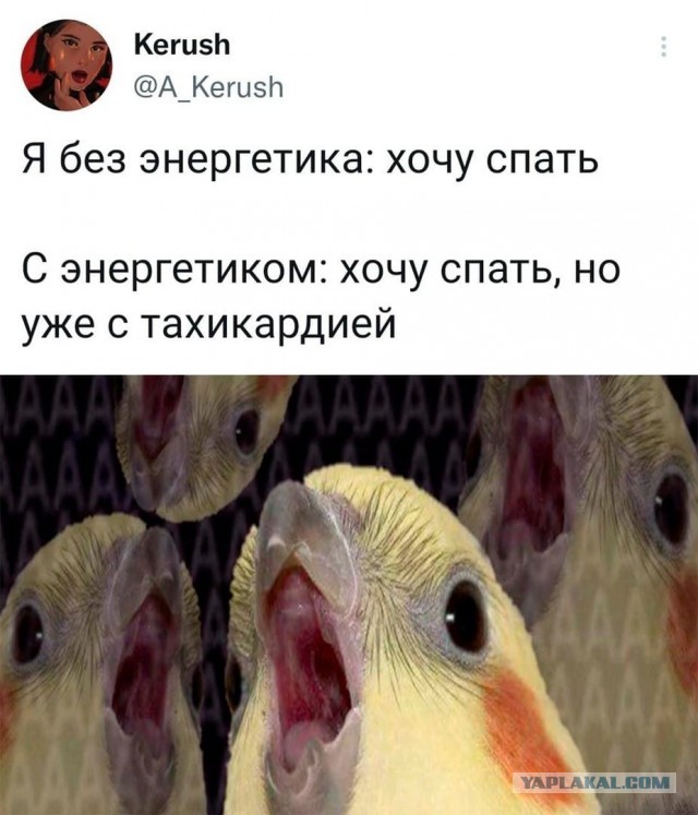 Картинки и мемы на все случаи жизни