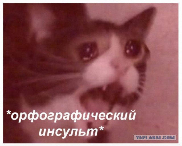 «Это было выживание»
