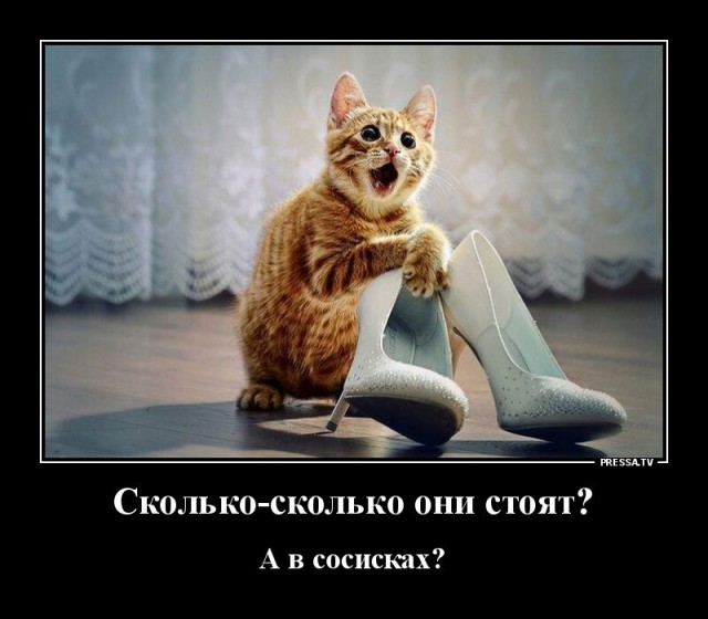 Баянисто-небаянистый юмор 29.10.21