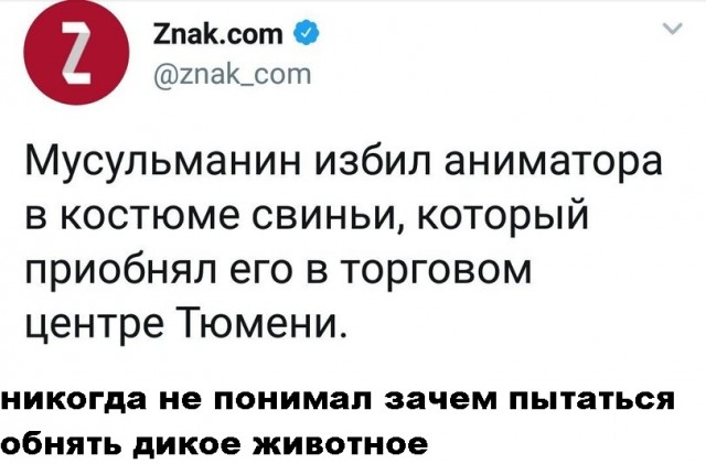 Всяческие картинки 08.11.2021