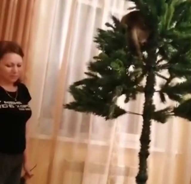 Все херня, переделывайте