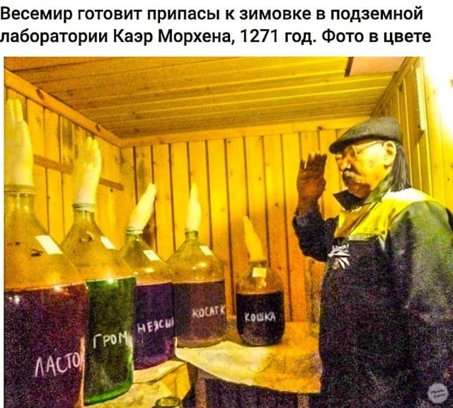 Доктор Ливси из Ривии