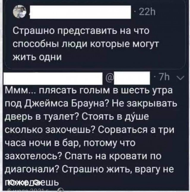 Всяческие картинки 31.01.2022