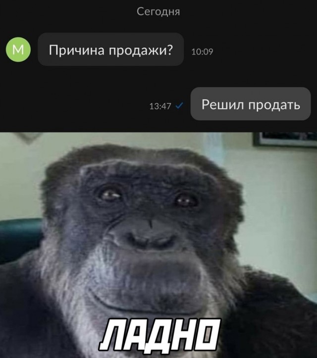 Весёлый полтишок 18.02