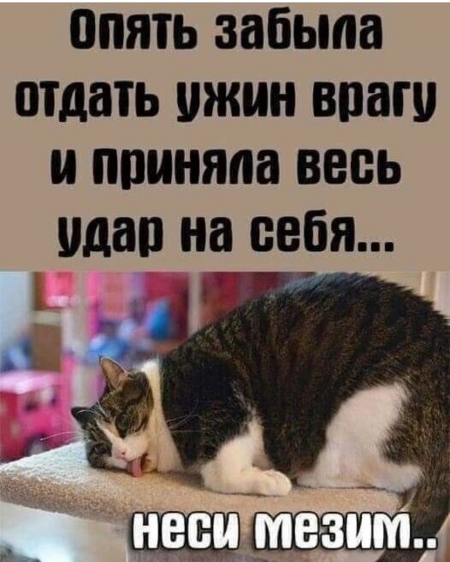 Чуток картинок 04.03.22