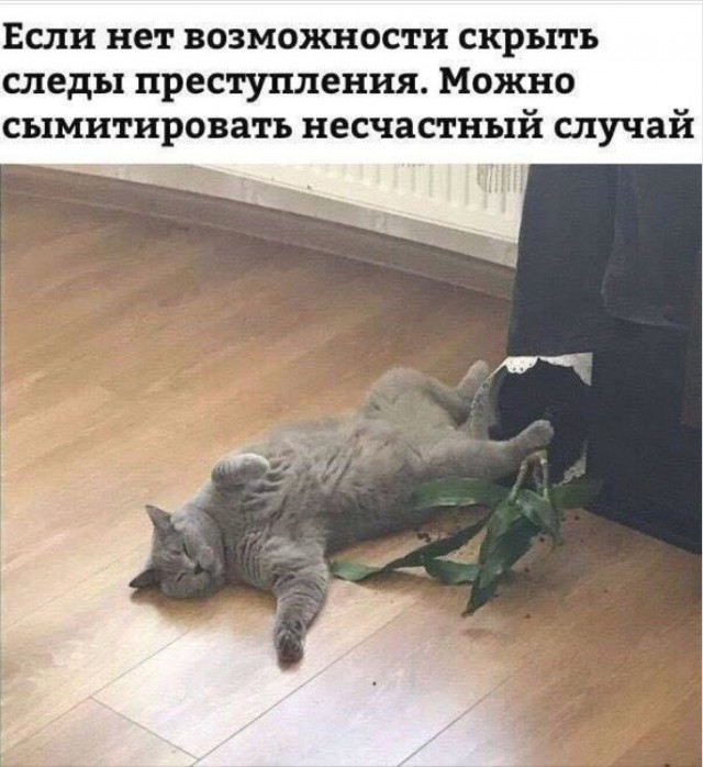 Воскресенье. Вечер. Картинки для зарядки позитива на понедельник