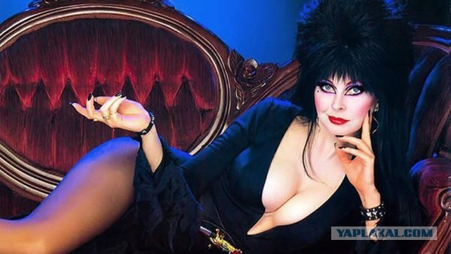 7 знаковых голливудских актрис 1980-1990-х, о которых сегодня почти не помнят