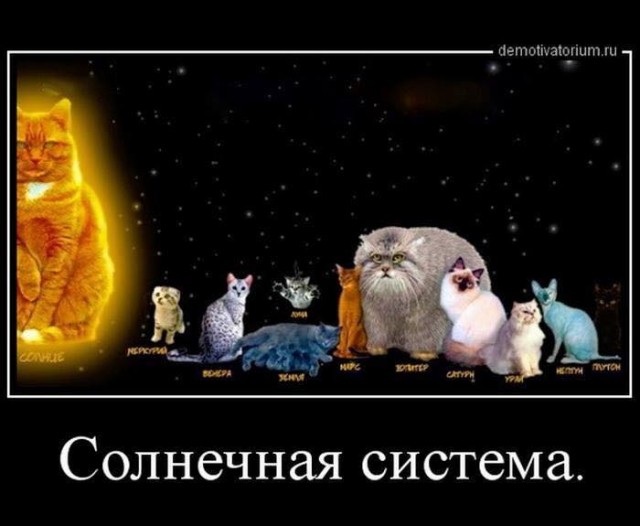 Картинки для улыбнуться #7.0