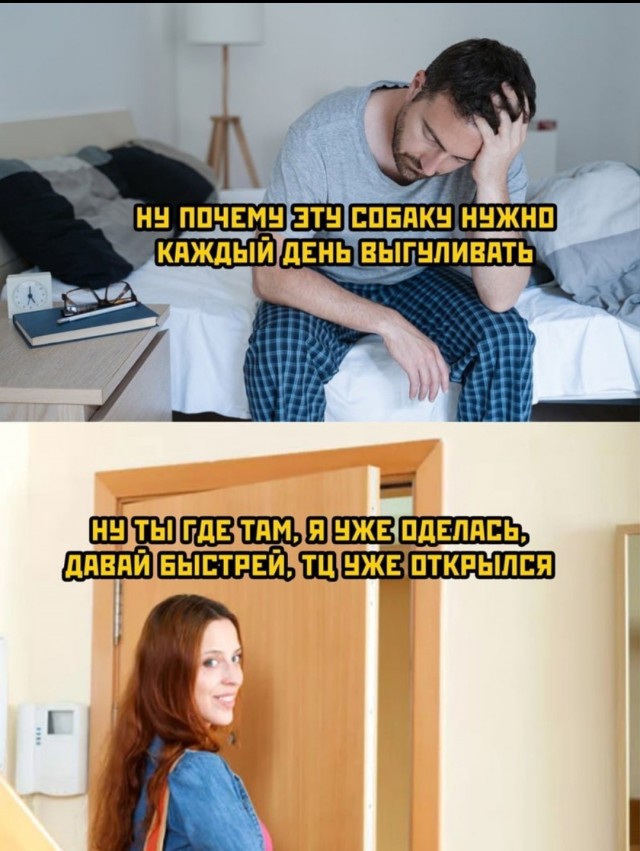 Собакочетверг 12.05.2022