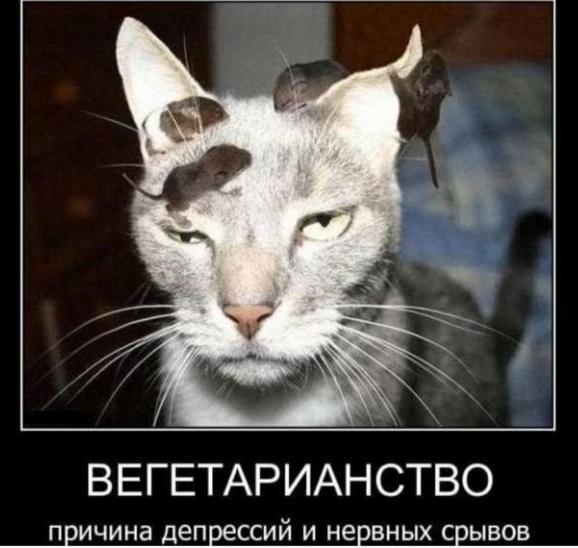 Переписка мракобесок
