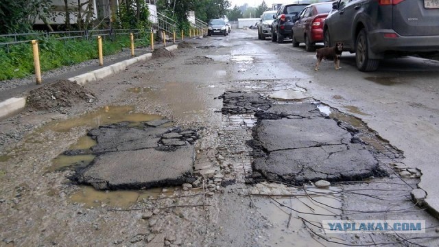 Мужская смертность в возрасте 35–40 лет в два раза выше женской