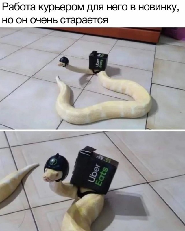 Немного картинок."Колбасный ветер". Август