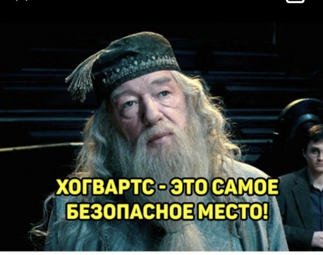Весёлый полтишок 08.09.22
