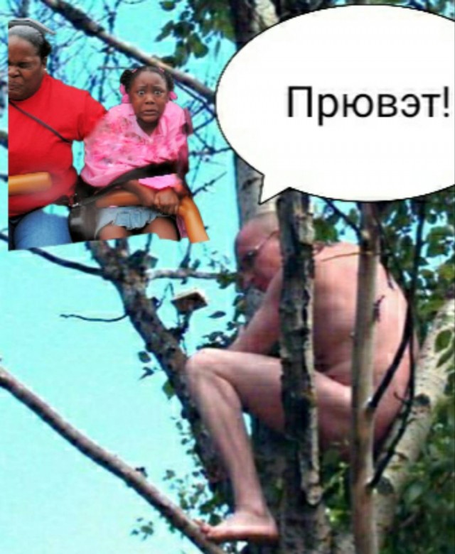 Фотожаба: Негритянка на горках