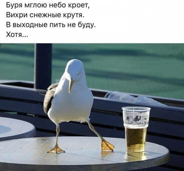 Деградация лайт 13.10.2022