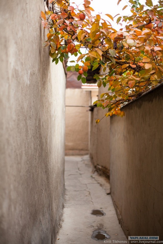 Узбекистан-Махалля и люди