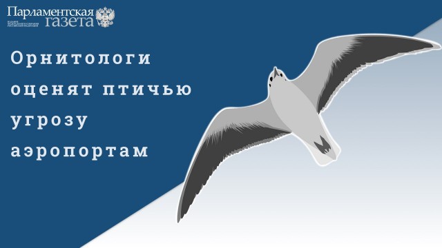 Победная поступь идиотизма по планете – том 10