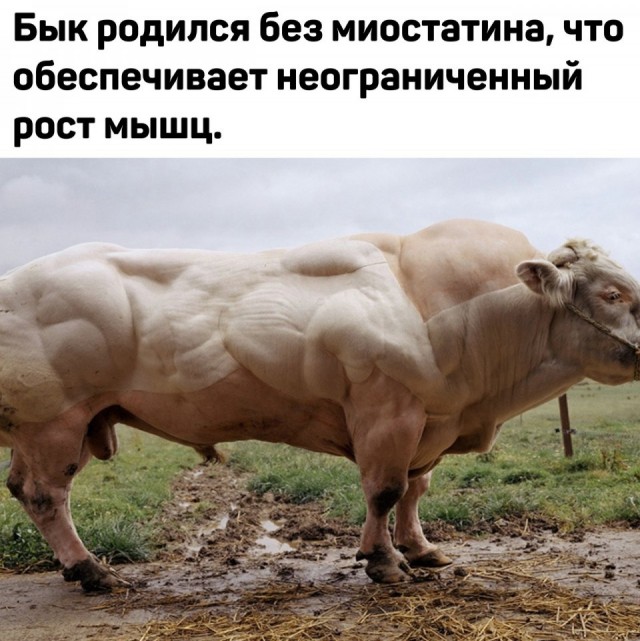 Так себе картинки 19.03.23
