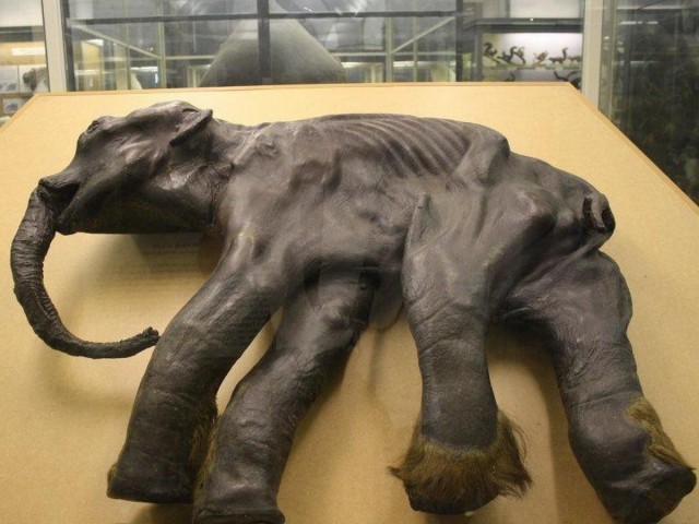 Заброшенный арктический соляной рудник возле поселка-призрака Нордвик