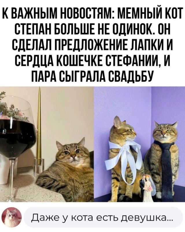 Картинки и мемы, всяко разно - 171