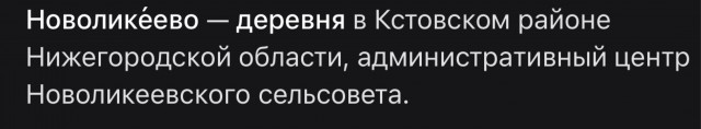Пьяная компания на «Лэндкрузере» открыла стрельбу в деревне Новоликеево