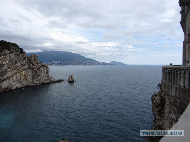 Крым в феврале или "Не стреляйте в белых лебедей!"
