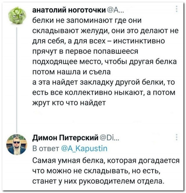 Забавные комментарии из социальных сетей 12.06.23