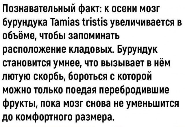 Отмена деградации ІV. Околонаучные картинки