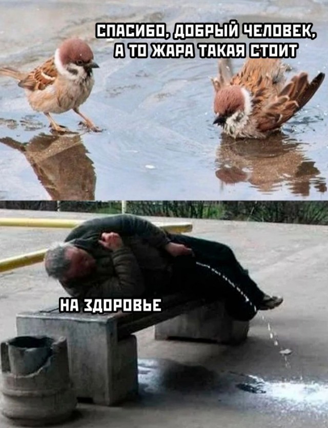 Всего понемногу. От 10.08.