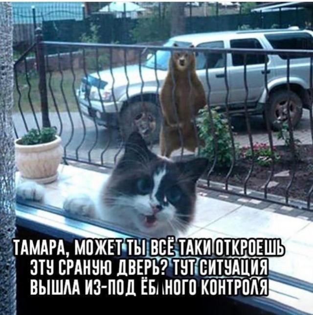 Мишка красиво ушёл