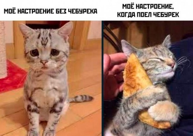 Весёлый полтишок 03.09.23