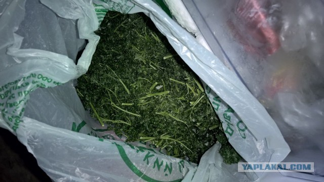 Холостяцкая еда