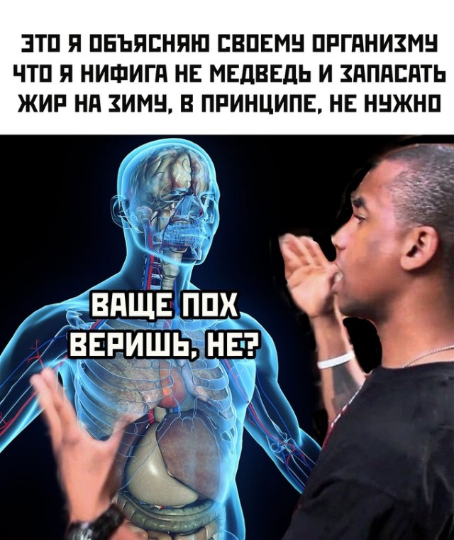 Весёлый полтишок 12.12.2023