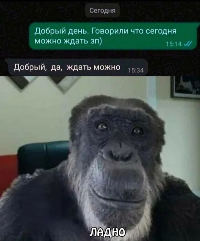 Приколы с налетом деградации